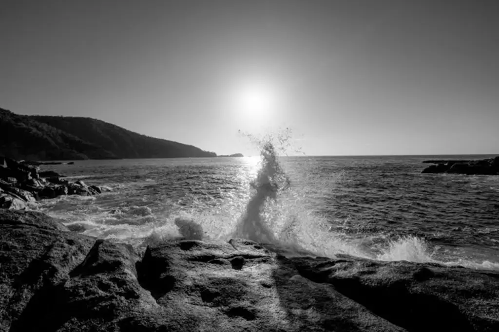 Consultation - Sun Counseling and Wellness